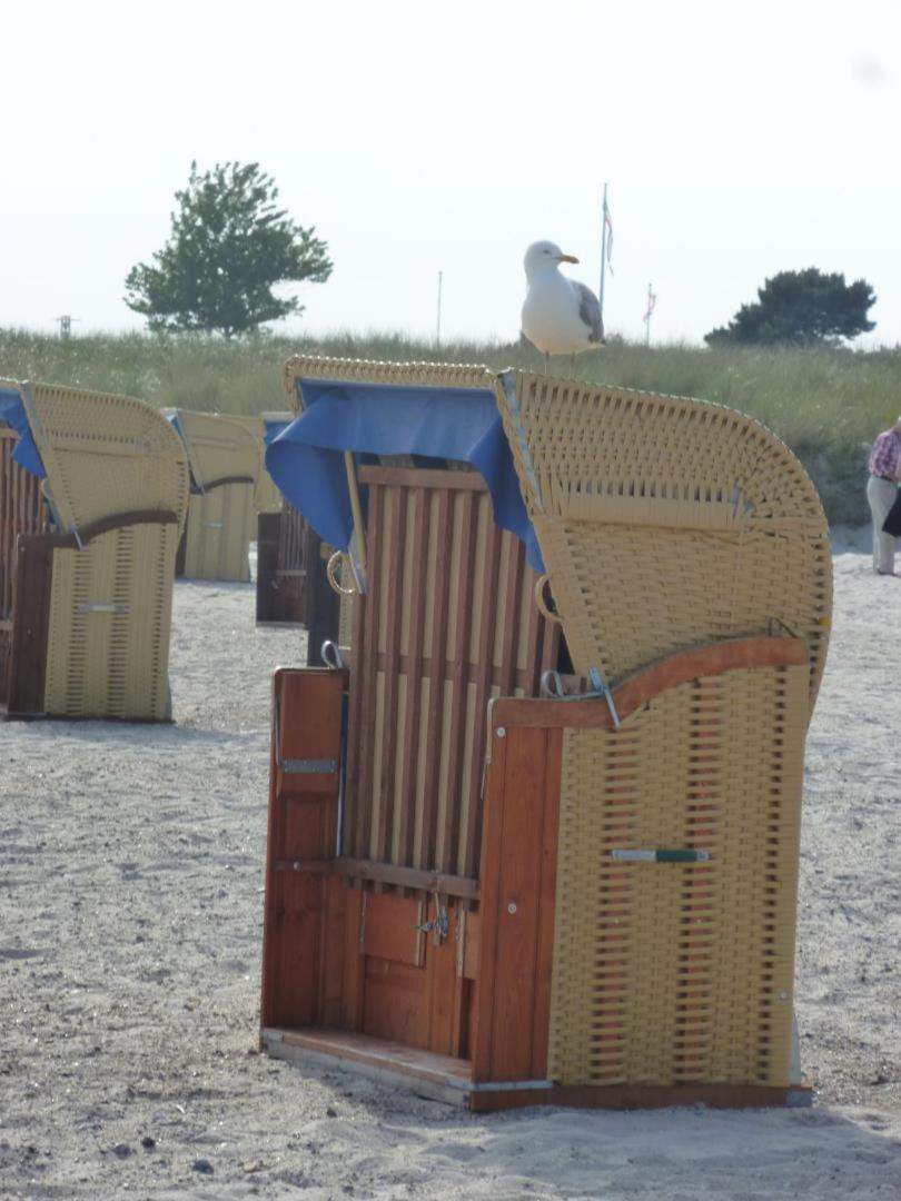 Traumhafter Ostsee-Ausblick, Fewo Direkt Am Strand Фемарн Экстерьер фото